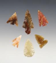 Set of 6 assorted points found in the Western U.S. The largest is 1 1/2".