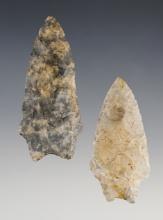 Pair of transitional Paleo Points recovered in Ohio. Largest is 2 9/16".