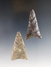 Pair of well made Madison Triangle Points recovered in Ohio. Largest is 2 1/8".