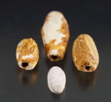4 Shell Barrel Beads, largest is 1 5/8". Recovered at the Dann Site in Lima, Monroe Co., NY