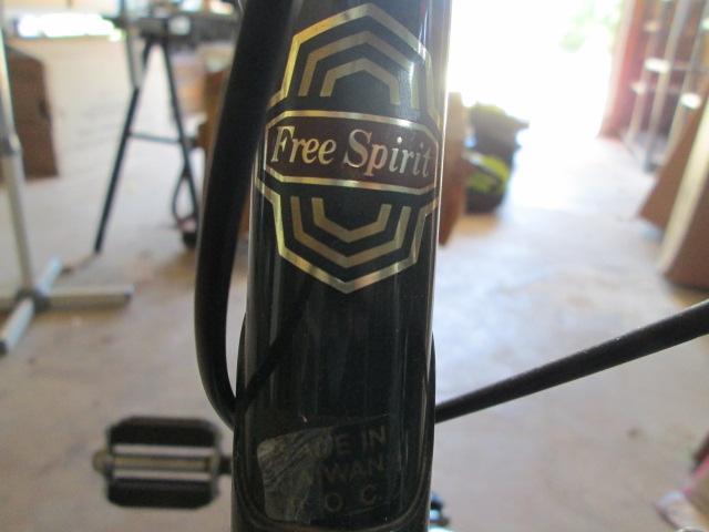 Green Briar Free Spirit 10 Speed Bicycle