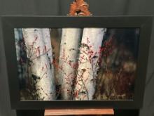 Framed High End LE 205/950 titled Silver Birches by Famed Photographer Peter Lik w/ COA