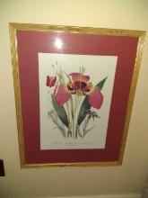 Framed and Matted Print, Daylilies