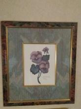 Framed and Matted Print, 595/1950, Signed, Flower