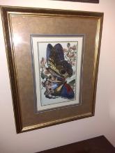 Framed and Matted Print, Butterfly