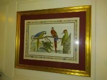 Framed and MAtted Print, Macaws
