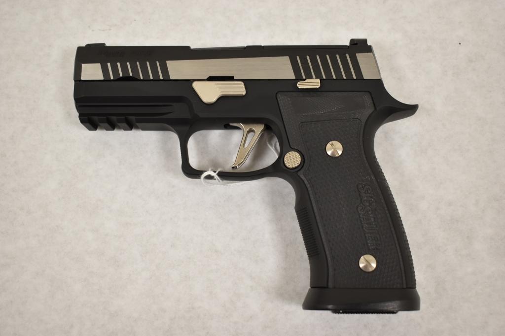 Gun. Sig Sauer Model P320 9mm Pistol