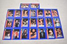 Classic WWF/WWE Trading Cards Approx. 40