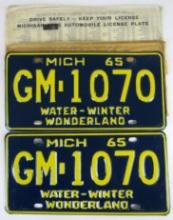 Vintage 1965 Michigan Water-Wonderland Pair License Plates "GM" Prefix