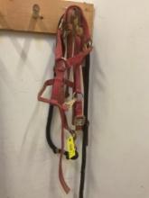 Nylon horse halters one with lead