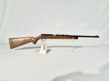 Daisy Heddon VL .22 cal rifle