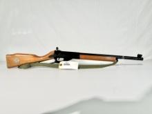 Daisy model 99 BB rifle with sling