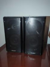 (BR1)PAIR OF SHARP CP-BH250 SPEAKERS, APPEARS NEAR NEW, NO BOX