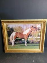 Vintage framed picture of a horse $5 STS