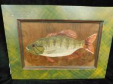 Oil on Wood Signed Fish Art - 15" x 21"