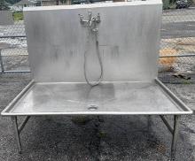 Stainless Steel Raised Wash Station