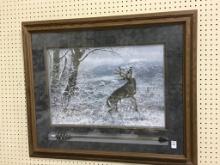 Lg. Framed-Signed & Numbered Deer Print