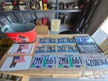 License Plates and Dale Earnhardt Jr Ice Bucket