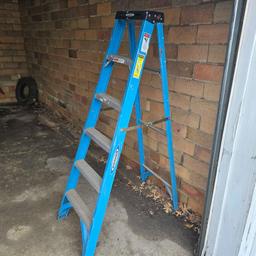 Werner 6 Foot Aluminum Ladder
