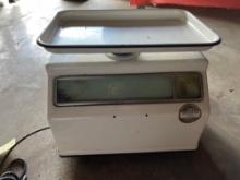 Food Grade Electric Scale
