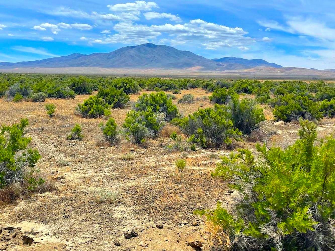Secluded 20-Acre Retreat in Elko County, Nevada!