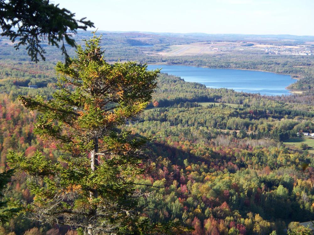 Discover Aroostook County: Your 49.9 Acre Gateway to Maine's Wild & Timeless Beauty!