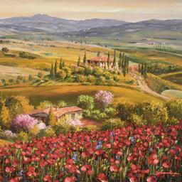 Tuscany Red Poppies by Park, S. Sam