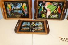 PARROT TRAYS