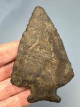 Impressive 3 1/2" Perkiomen, THIN, Found near Nine Mile Creek, Marcellus, New York in 1894, Ex: Walt
