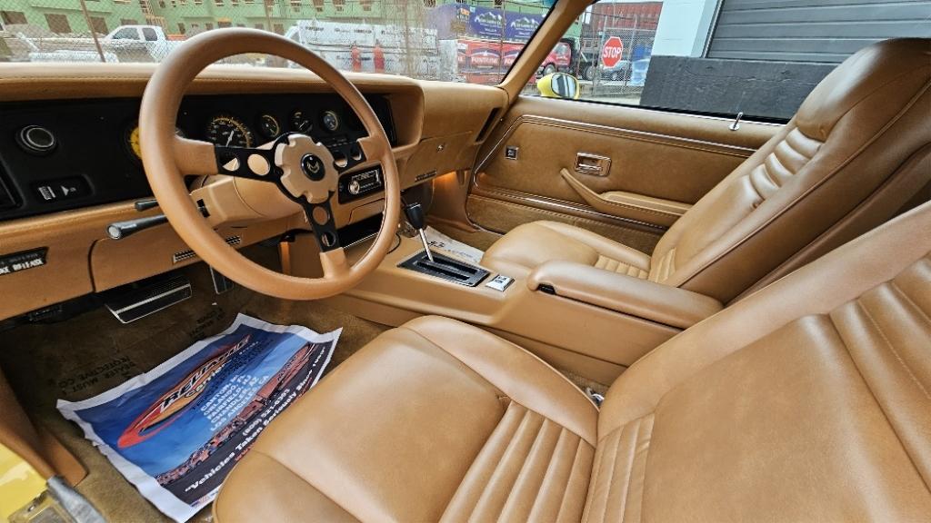 1980 Pontiac Firebird Custom Coupe