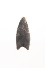 A 2-1/2" Clovis Found in Ohio *Jackson COA*.
