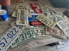 License Plates (24 Total)