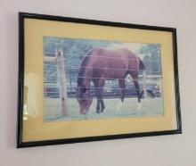 Horse Picture in Frame $1 STS