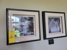 Pair of deep frame black and white landscape photographs