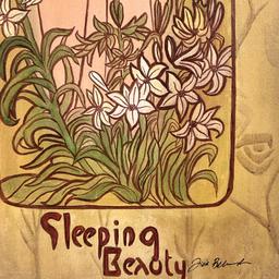 Sleeping Beauty by Buchanan-Benson, Tricia